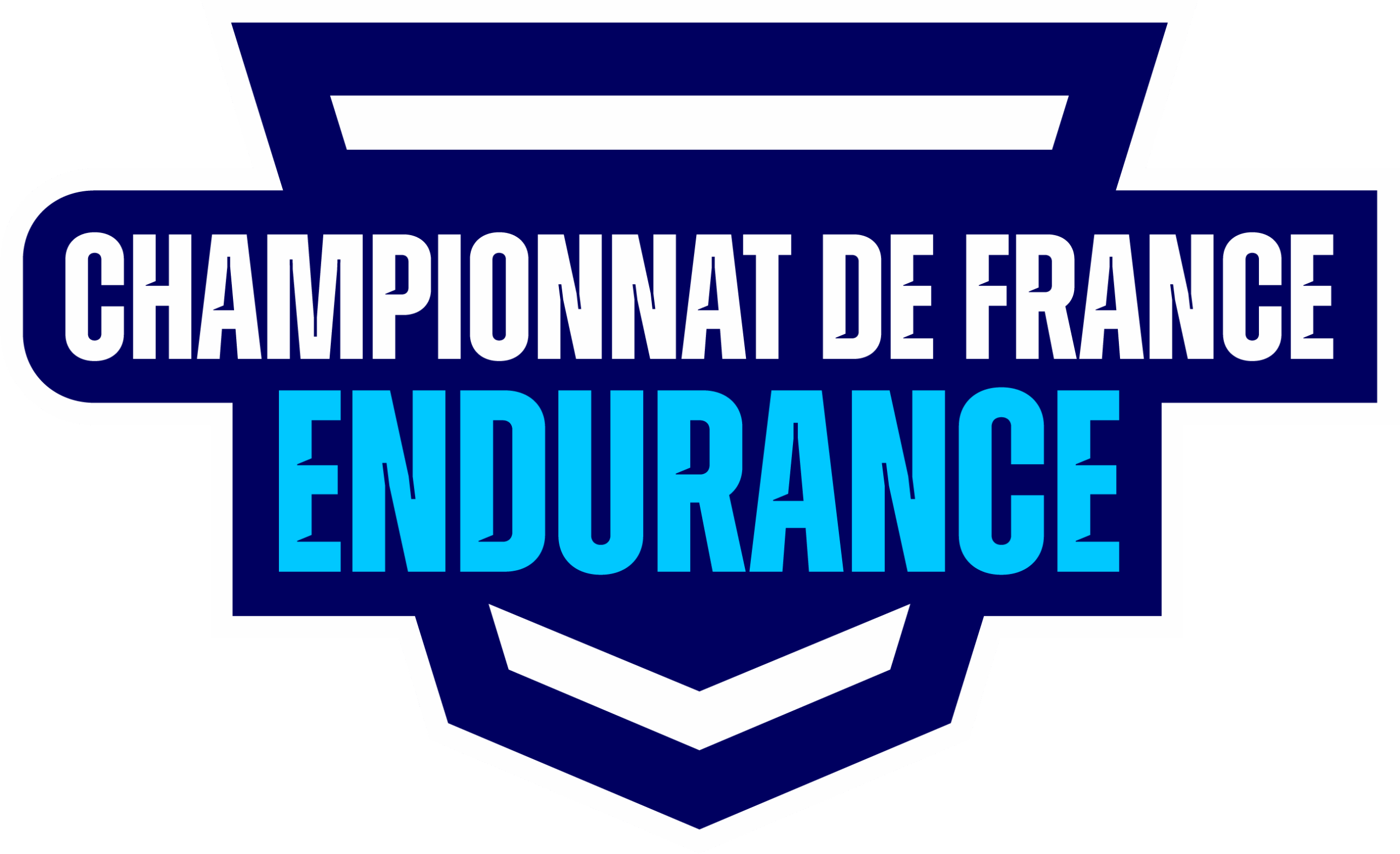 FFMOTO_COMPETITION_ENDURANCE_RVB